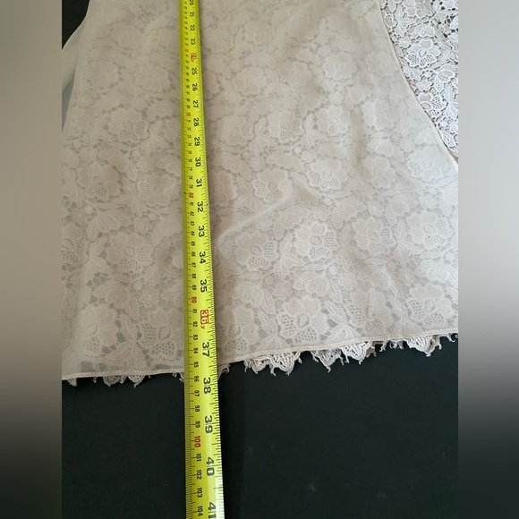 Ann Taylor Beige Knee Length Dress Lace With Partial Sheer Panel Women's Size 10 - Picture 6 of 14